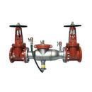 Ames Fire & Waterworks Stainless Steel Stainless Steel Flanged Backflow Preventer 