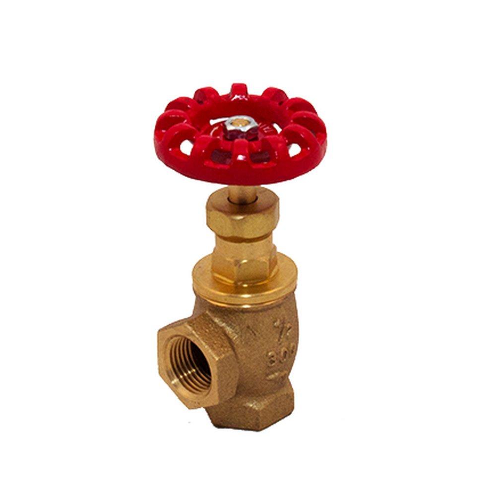 FPPI&reg; Cast Brass IPS Globe Valve 