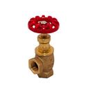 FPPI&reg; Cast Brass IPS Globe Valve 