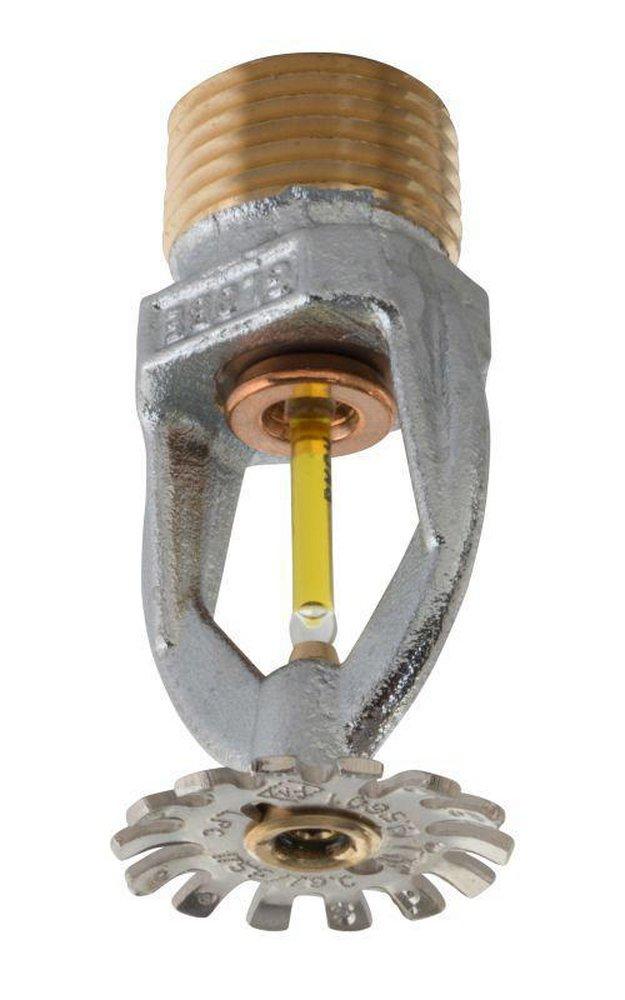 Globe Fire Sprinkler Corporation Chrome 1/2 in. 155F 5.6K Pendent, Quick Response and Standard Coverage Sprinkler Head 