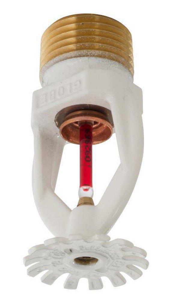 Globe Fire Sprinkler Corporation White 1/2 in. 155F 5.6K Pendent, Quick Response and Standard Coverage Sprinkler Head 