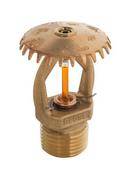 Globe Fire Sprinkler Corporation Plain Brass 1/2 in. 5.6K Quick Response, Standard Coverage and Upright Sprinkler Head in Plain Brass 