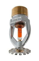 Globe Fire Sprinkler Corporation Chrome 1/2 in. 155F 5.6K Pendent and Standard Response Sprinkler Head 
