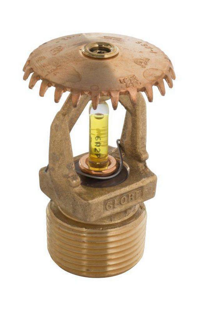 Globe Fire Sprinkler Corporation Brass 3/4 in. 286F 8K Standard Response and Upright Sprinkler Head 