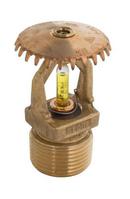 Globe Fire Sprinkler Corporation Brass 3/4 in. 286F 8K Standard Response and Upright Sprinkler Head 
