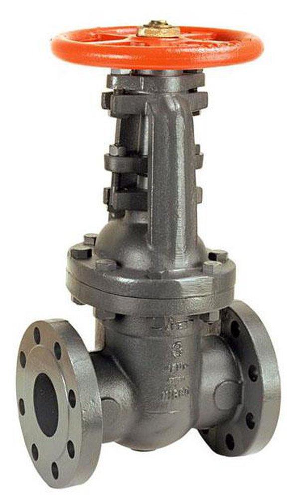 NIBCO 6 in. Cast Iron Full Port Flanged Gate Valve | Ferguson