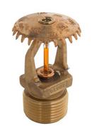 Globe Fire Sprinkler Corporation Plain Brass 3/4 in. 155F 8K Quick Response, Standard Coverage and Upright Sprinkler Head 