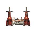 Ames Fire & Waterworks Stainless Steel Stainless Steel Flanged Backflow Preventer 