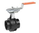 Victaulic Ductile Iron EPDM Locking Lever Handle Butterfly Valve 