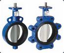 DelVal Flow Controls Cast Iron EPDM Lever Operator Butterfly Valve 