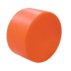 2 in. Side Outlet Test Cap in Orange