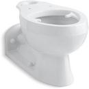 Elongated Toilet Bowl in White