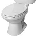 Briggs Plumbing Products White Elongated Toilet Bowl 