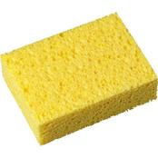 Sponge
