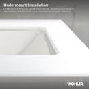 KOHLER Biscuit Undermount Basin 
