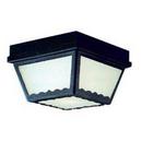 Thomas Lighting Black 60 W 2-Light Outdoor Semi-Flush Mount Ceiling Fixture 
