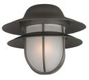 13W Outdoor Light Kit in Oiled Bronze with Frosted Glass