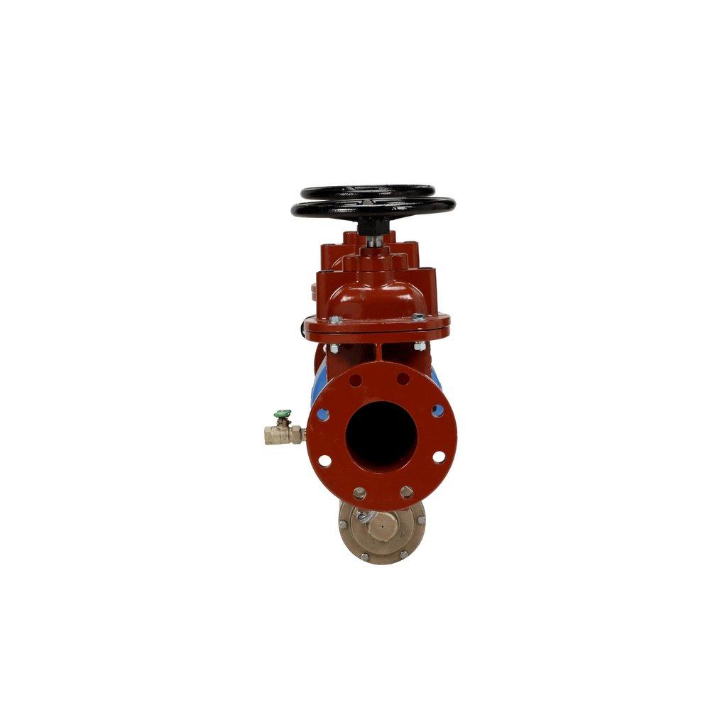 Zurn Wilkins Red Epoxy Coated Ductile Iron Flanged 175 psi Backflow Preventer 