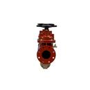 Zurn Wilkins Red Epoxy Coated Ductile Iron Flanged 175 psi Backflow Preventer 