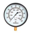 Marshalltown Instrument 2-1/2 x 1/4 in. Lower Mount Pressure Gauge 