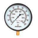 Marshalltown Instrument 2-1/2 x 1/4 in. Center Back Mount Pressure Gauge 