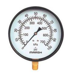 2-1/2 x 1/4 in. 100 psi Center Back Mount Pressure Gauge