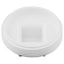 White PVC DWV Plug 