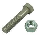16 in. Plated Bolt and Nut Set