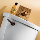 Moen Oil Rubbed Bronze Trip Lever 