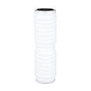 9-3/4 in. 10 gpm Drop-in Filter for Aqua-Pure AAP400SS
