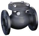 10 in. 150# RF FLG WCB T8 Swing Check Valve Carbon Steel Body, Trim 8, Bolted Cover