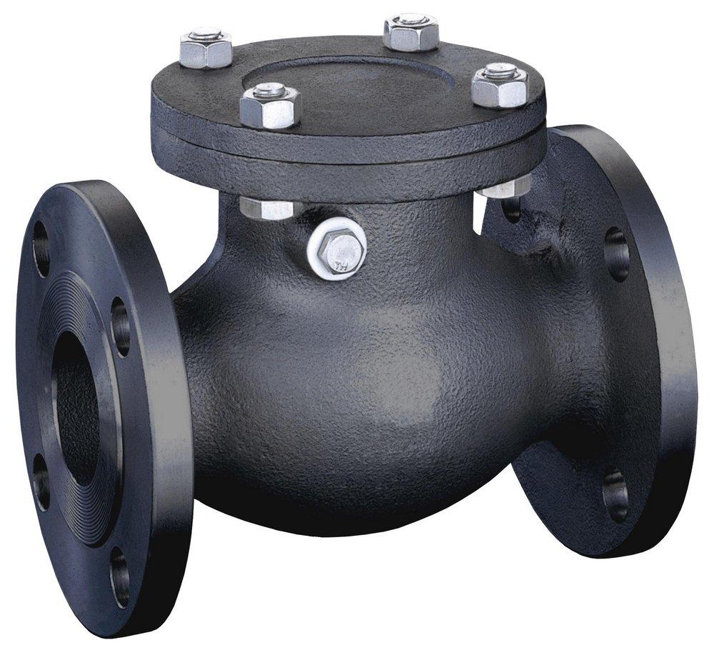 FNW&reg; 150# RF FLG WCB T8 Swing Check Valve Carbon Steel Body, Trim 8, Bolted Cover 