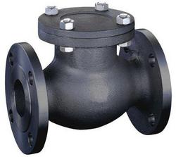 2-1/2 in. Carbon Steel Flanged Swing Check Valve