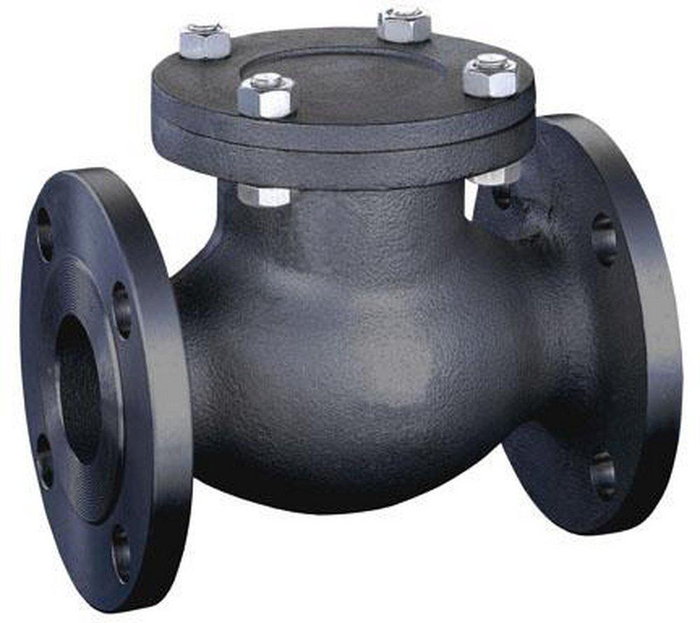 FNW&reg; 300# RF FLG WCB T8 Swing Check Valve Carbon Steel Body, Trim 8, Bolted Cover 