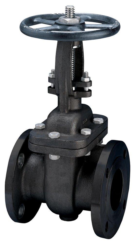 FNW® 300# RF FLG WCB T8 Gate Valve Carbon Steel Body, Trim 8, Bolted Bonnet 