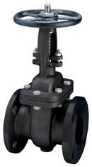 FNW&reg; 300# RF FLG WCB T8 Gate Valve Carbon Steel Body, Trim 8, Bolted Bonnet 