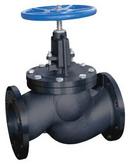 4 in. 150# RF FLG WCB T8 Globe Valve Carbon Steel Body, Trim 8, Bolted Bonnet