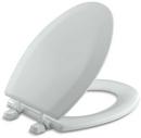 Elongated Closed Front Toilet Seat with Cover in Ice Grey