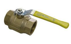 2-1/2 - 3 in. Brass Threaded Blowout-proof Stem Extension