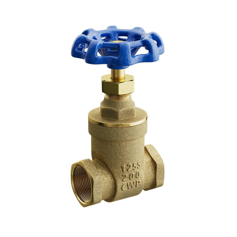 FNW&reg; Bronze NPT 125# NRS Gate Valve 
