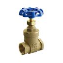 FNW&reg; Bronze NPT 125# NRS Gate Valve 