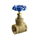 FNW&reg; Bronze NPT 125# NRS Gate Valve 
