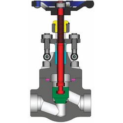 2 in. Forged Steel Socket Weld Rising Globe Valve