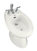 KOHLER White Vertical Spray Bidet 