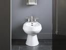 KOHLER White Vertical Spray Bidet 