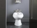 KOHLER White Vertical Spray Bidet 