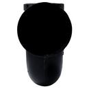 Black Spigot Service Cast Iron P-Trap 