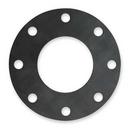 24 in. 150# Stainless Steel Flat Face Gasket