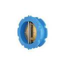 Titan Flow Control Ductile Iron Wafer Swing Check Valve 