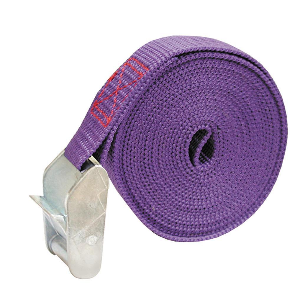 Jones Stephens Purple 1 in. Cam Strap Purple 